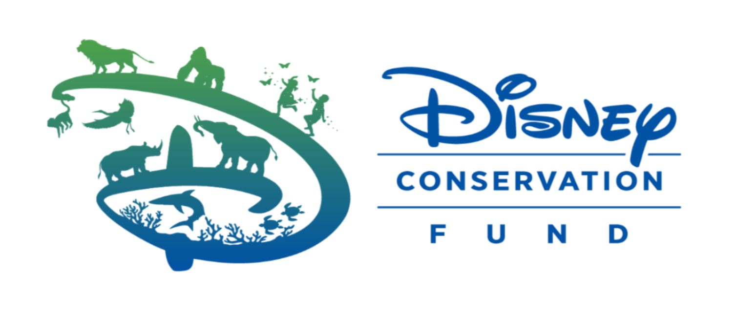 Sounds Right Earth / Percent